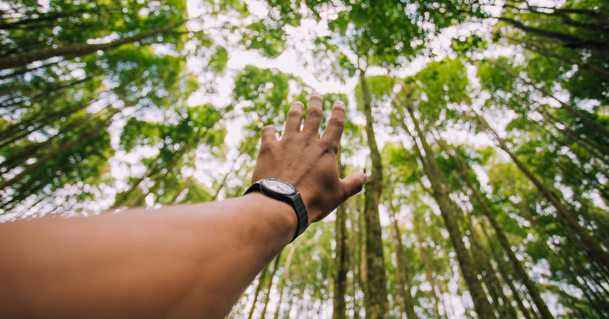 HWPL World Peace Summit Demonstrates Global Progress in Legal Frameworks, Education, and Interfaith Cooperation