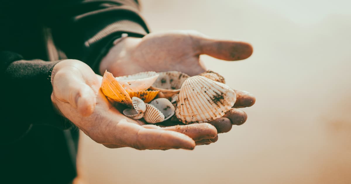 Psychiatry Exhibit at UCF Sparks Debate on Mental Health Treatment Ethics