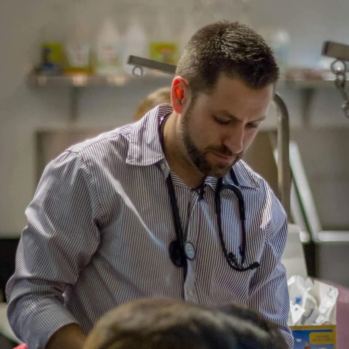 California Governor Appoints Veterinarian to State Regulatory Board