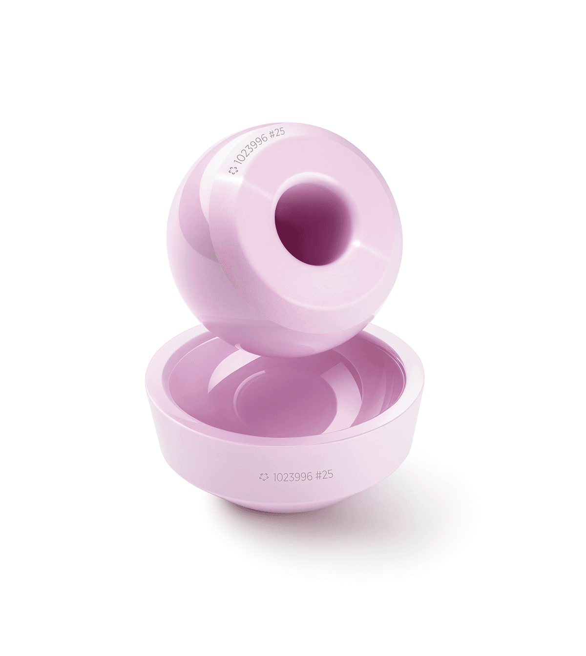 French Supreme Court Rules for CoorsTek in Ceramic Hip Implant Trademark Dispute